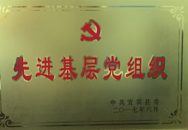 天泉供水公司支部喜獲宜賓縣“先進(jìn)基層黨組織”稱號