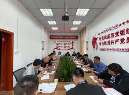 公司三支部召開黨員大會暨“形式主義、官僚主義”集中整治工作會