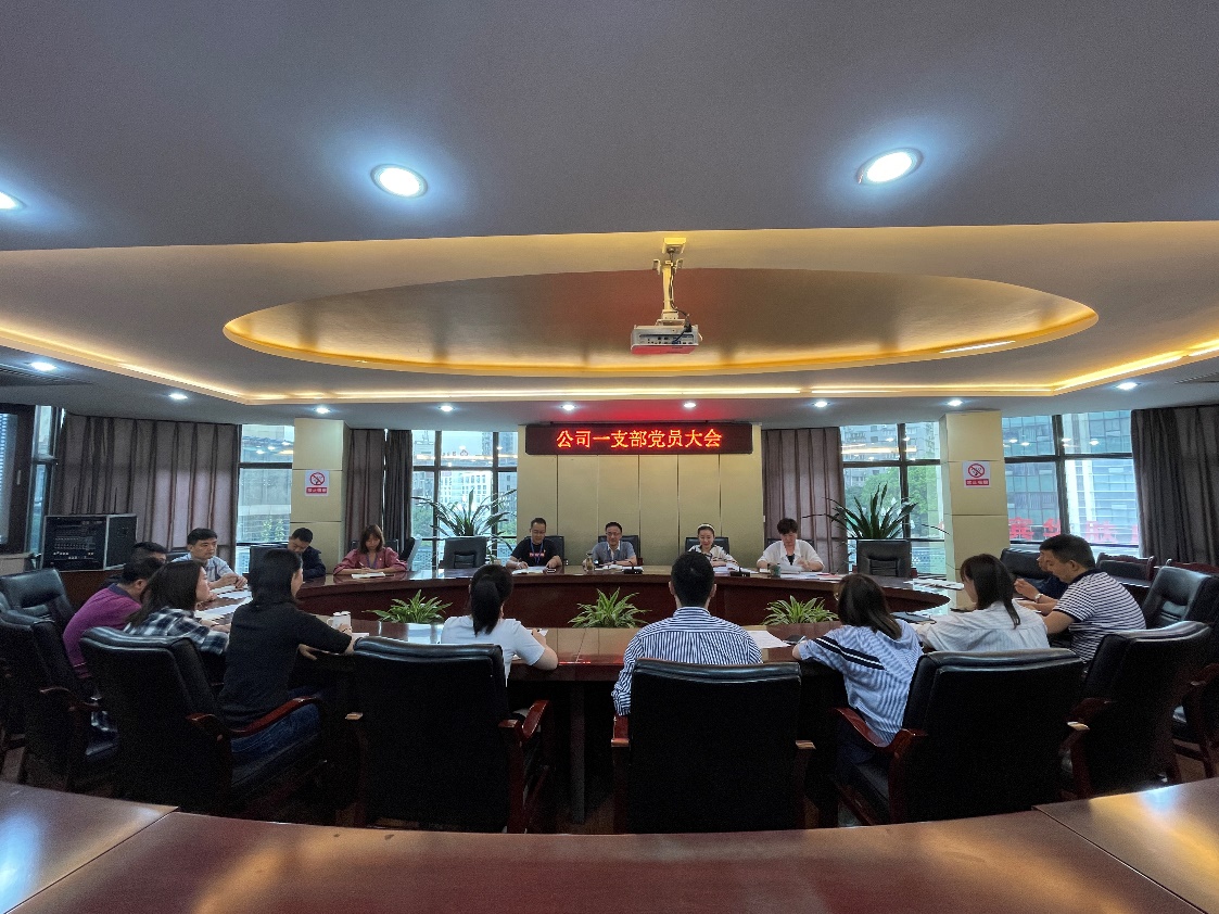 集團(tuán)公司一支部召開(kāi)黨員大會(huì)