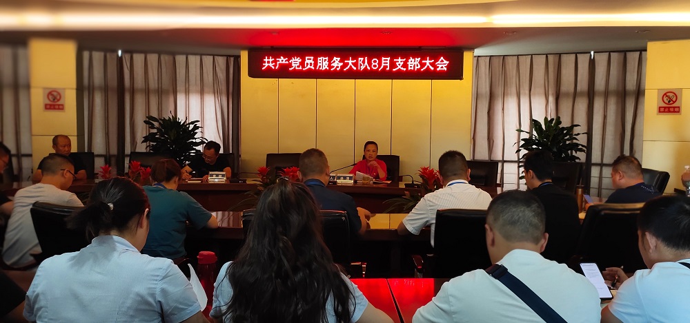 共產(chǎn)黨員服務(wù)大隊(duì)支部召開八月黨員大會